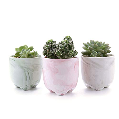 T4U 2.25 Inch Ice Cream Serial Modern Sucuulent Cactus Plant Pots Flower Pots Planters Containers Window Boxes with Small Hole Set of 3