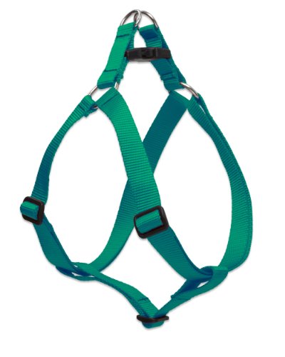 Lupine Pet Basics 1" Green 19-28" Step In Harness for Medium Dogs