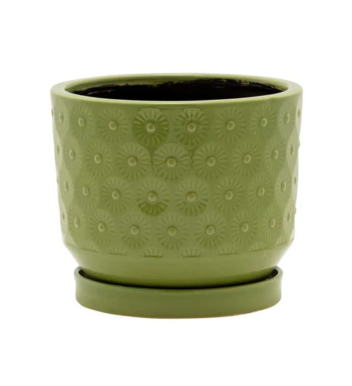 Napco Stamped Flower Design Moss Green 5.75 x 5.25 Ceramic Planter Pot with Saucer