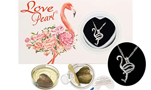 Puka Creations Flamingo Love Wish Pearl Kit Chain Necklace Kit Pendant Cultured Pearl in Kit Set with Stainless Steel Chain 16"