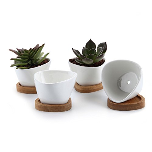T4U Small White Succulent Planter Pots with Bamboo Tray Triangle Set of 4, Geometric Ceramic Succulent Air Plant Flower Pots Cactus Faux Plants Containers, White Modern Decor for Home and Office