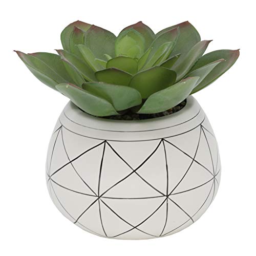 Flora Bunda Mid Century Artificial Plants Artificial Succulent in 6.5 Inch Round Geometric Hand Painted Planter with Legs,6.5" Round White/Black Line