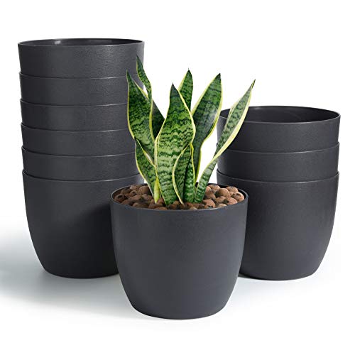 T4U Self Watering Planters Plastic 6 Inch Black Set of 10, Plant Flower Pot Modern Decorative Seeding Nursery Pots Outdoor Indoor Garden for All House Plants Flowers Herbs African Violets