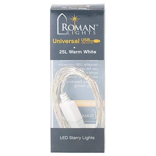 Roman 25L USB WARM WHITE STARRY LIGHT SILVER WIRE 8FT L
