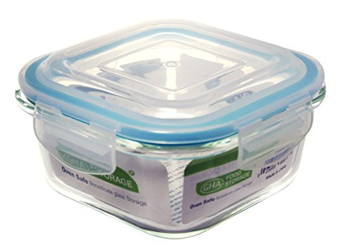 Grant Howard 27.1 oz Square Glass Airtight Food Storage Container, Clear
