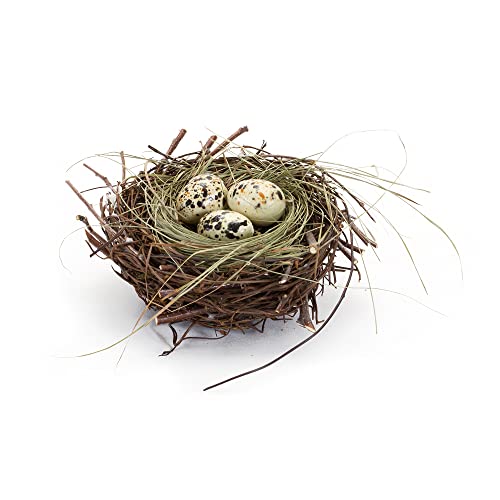 Melrose 85773 Nest with Foam Eggs, 6-inch Diameter