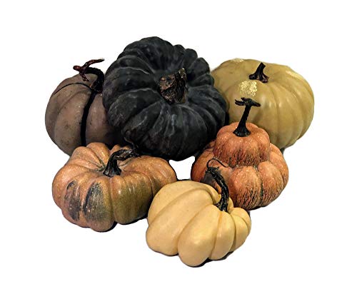 Park Hill Collection, Le Potiron French Pumpkin Collection, Set of 6