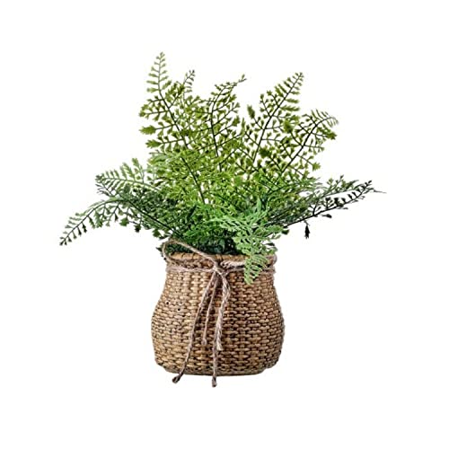 Regency International Aritificial Plant Leather Fern in CEM Bag Artificial Plant, 14 Inches, Home D√©cor