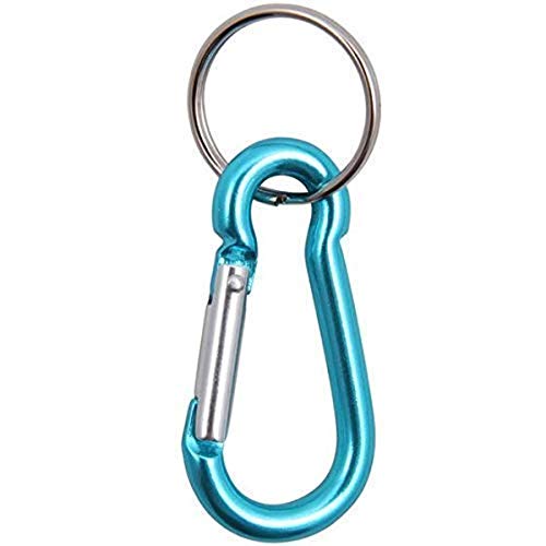 Baumgartens Key Ring, Small, Assorted