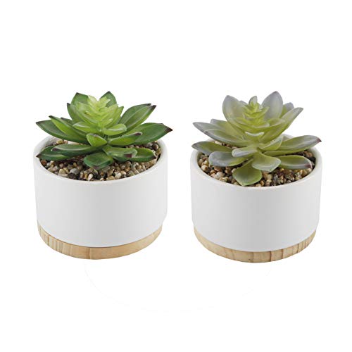 Flora Bunda Artificial Plant Artificial Succulent in 4 Inch Round Ceramic Planter with Wood Base Mid Century Pot for Desk, Office, Living Room, and Home Decoration,White, Set of 2