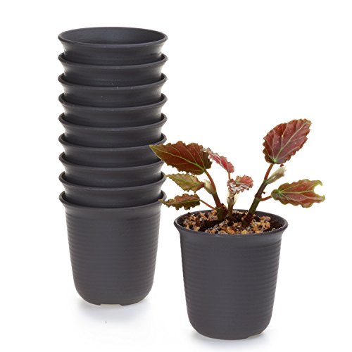 T4U 3.5 Inch Plastic Round Plant Pot/Cactus Flower Pot/Container Brown Set of 10,Seeding Nursery Planter Pot with Drainage for Flowers Herbs African Violets Succulents Orchid Cactus Indoor Outdoor