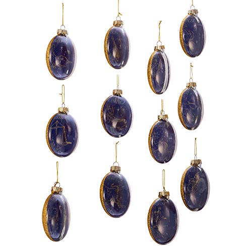 Kurt Adler Kurt S. Adler 80MM Glass Zodiac, Set of 12 Ornament, Multi