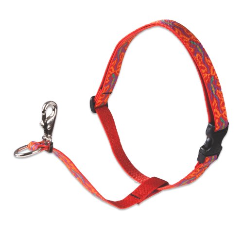 Lupine Pet Originals 1" Go Go Gecko 26-38" No Pull Harness for Medium-Larger Dogs