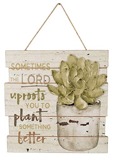 Blossom Bucket 191-38825 Lord UPROOTS' Succulent Wall Plaque, Multi-Colored