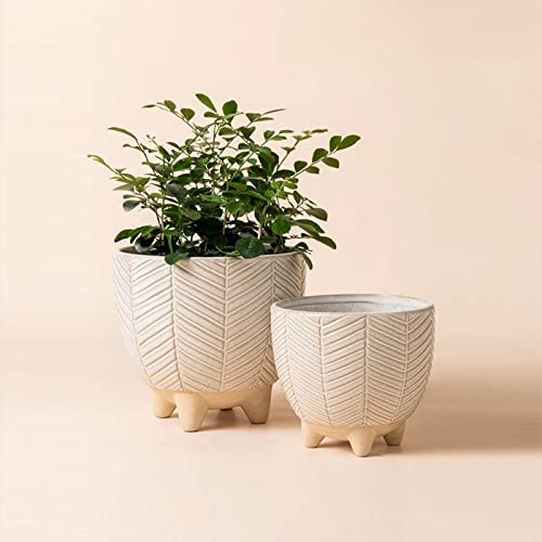 La Jol√≠e Muse Ceramic Footed Flower Plant Pots - 6.7 + 5.1 Inch Boho Planters with Drainage