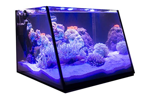 Lifegard Aquatics Lifegard Full-View 7 Gallon Aquarium with Built-in Back Filter - Empty - No Accessories
