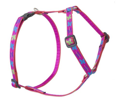 Lupine Pet Originals 1/2" Wing It 9-14" Adjustable Roman Dog Harness for Extra Small Dogs