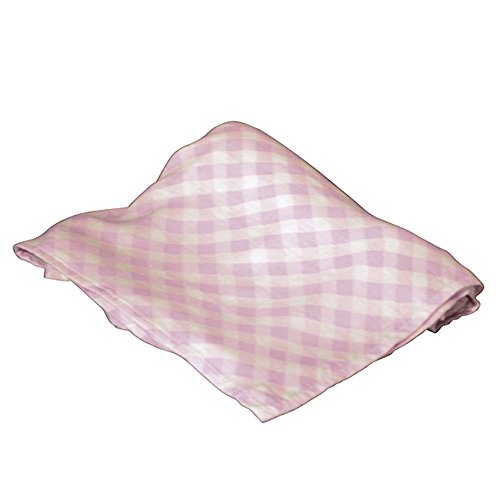 Birchwood Applesauce Rayon Swaddle Blanket, Pink Gingham