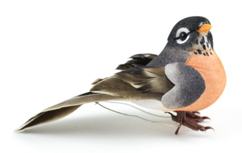 Midwest Design Touch of Nature 1-Piece Mushroom/Feather American Robin on Clip for Arts and Crafts, 4-Inch, Natural