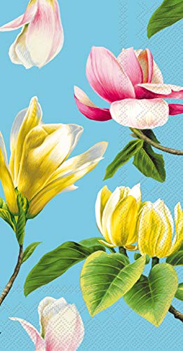 Boston International IHR 3-Ply Guest Towel Buffet Paper Napkins, 8.5 x 4.5-Inches, Malou Turquoise