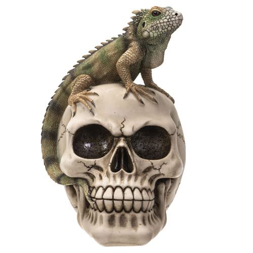 Pacific Trading Giftware Iguana On Skull Figurine, 7.09-Inch Height