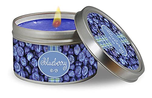 Cape Shore Christmas Travel Candle - Blueberry Gifts for Mothers Day, Home, Portable Tin for Outdoor Garden, Camping