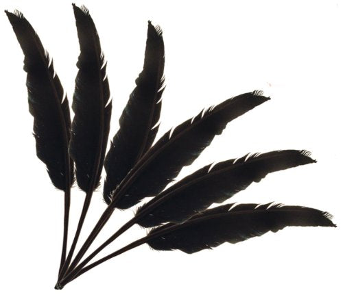 Midwest Design Touch of Nature 38204 Indian Feather, 7 to 8-Inch, Black