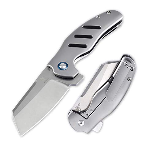 Kizer Pocket Folding Knife Mini Sheepdog C01C Flipper Knife Silver Titanium (2.6" Satin S35VN) Ki3488A1
