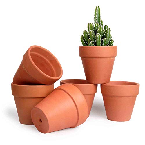 T4U 4 Inch Terracotta Clay Pots Pack of 6 - Mini Hand Craft Nursery Plant Pot Succulent Cactus DIY Pottery Planter Home Garden Windowsill Decoration