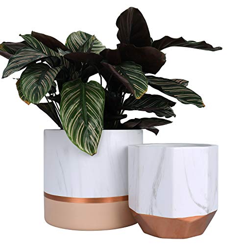 La Jol√≠e Muse White Ceramic Flower Pots - 6.7 + 5.4 Inch Indoor Planters, Plant Containers in a Marble Ink Pattern with Rose Gold and Pink Detailing
