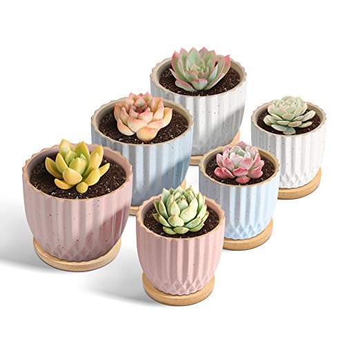 T4U Ceramic Succulent Pot with Tray Different Sizes Set of 6 - 2.5/3 Inch Small Cactus Plant Planter Stripes Flower Pot with Drainage Hole - Gardening Home Desktop Office Windowsill Decoration Gift