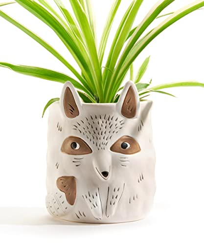 Giftcraft 717972 Raccoon Planter, 4.7-inch Height, Ceramic