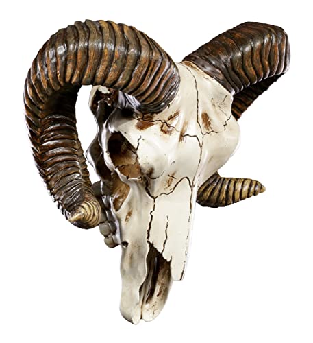 Pacific Trading Giftware Ram Skull and Horns Baphomet Wall Trophy Decor 11 Inch