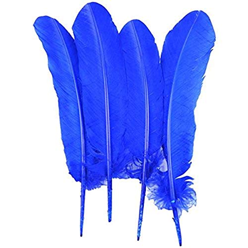 Midwest Design Touch of Nature 4-Piece Turkey Feather for Art and Craft, 12.25 to 13-Inch, Royal Blue