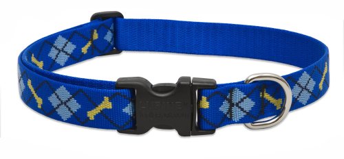 Lupine Pet Originals 1" Dapper Dog 25-31" Adjustable Collar for Extra Large Dogs