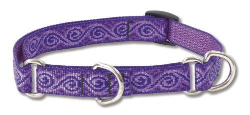 Lupine Pet Originals 3/4" Jelly Roll 14-20" Martingale Collar for Medium and Larger Dogs