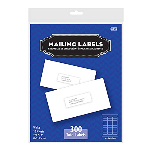 BAZIC Mailing Label 2 5/8" x 1" Self Adhesive White Shipping Labels, Address Labels for Laser and Inkjet Printers (300/Pack), 1-Pack