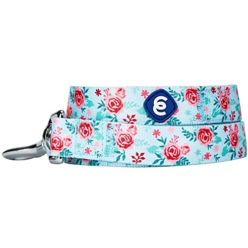 Blueberry Pet Essentials Spring Scent Inspired Garden Floral Dog Leash in Pastel Blue, 5 ft x 5/8", Small, Leashes for Dogs