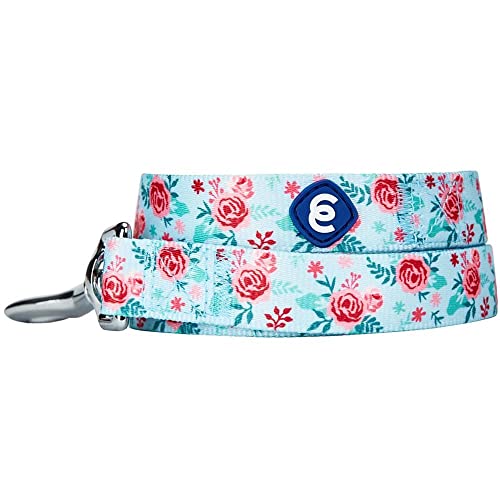 Blueberry Pet Essentials Spring Scent Inspired Garden Floral Dog Leash in Pastel Blue, 5 ft x 3/4", Medium, Leashes for Dogs