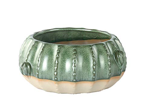 Napco 22015 Stoneware Textured Cactus Dish Garden Planter, Green & Cream