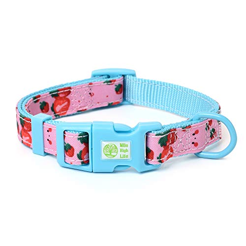 Mile High Life | Natural Wild Flower Collection | Soft Poly Cotton Fabric | Girl Dog Collars (Strawberry, Collar -S)