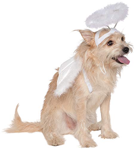 Rubie's Angel Halo and Wings Pet Costume Accessory Set, Medium to Large, Multicolor