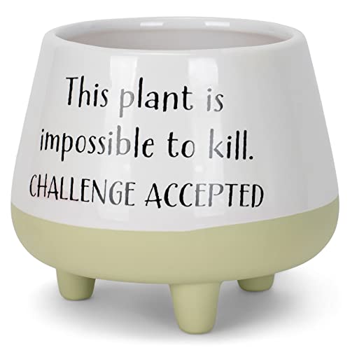 Napco Challenge Accepted 4.25 Inch White Green Ceramic Flower Pot Planter with Feet