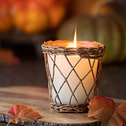 Park Hill Collection FNP10006 Frost on The Pumpkins Willow Candle, 12 oz