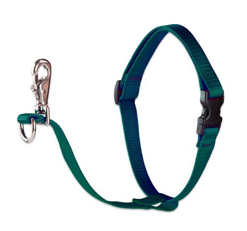 Lupine Pet Basics 3/4" Green 16-26" No Pull Harness for Small-Medium Dogs