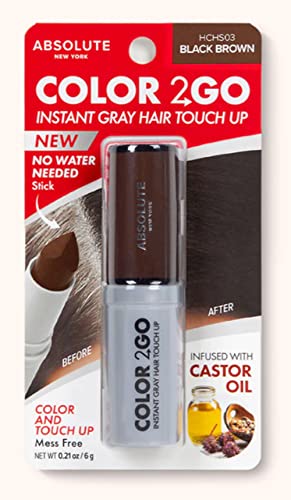 Absolute New York Color 2 Go Hair Stick Black Brown