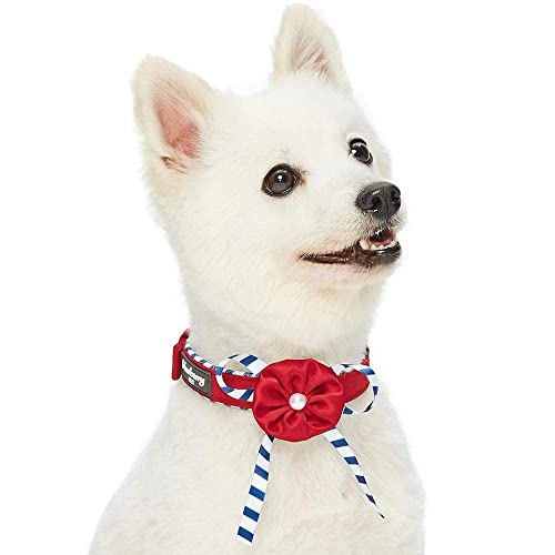 Blueberry Pet 4 Patterns Bon Voyage Sea Lover Adjustable Dog Collar in Timeless Red, Neck 9-12.5", for Small Breed