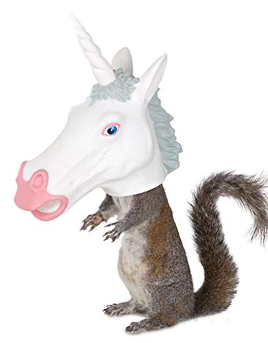 Archie Mcphee Accoutrements LLC Squirrel Feeder Unicorn Standard
