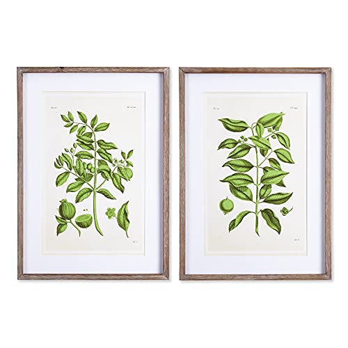 Napa Home & Garden Home Collection-Wall Art, Guava Prints, Set of 2