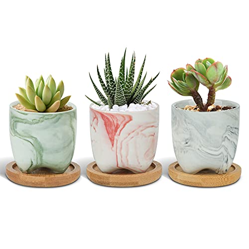 T4U 2.5 Inch Small Multi Color Ceramic Succulent Planter Pots with Bamboo Tray Set of 3, Marble Glazed Porcelain Handicraft as Gift for Mom Sister Best for Home Office Desk Windowsill Decoration